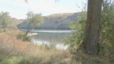 爱达荷州蛇河背光股票视频