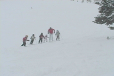 股票视频类滑雪滑雪学校