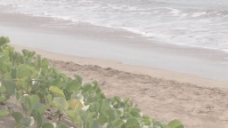 海浪在沙滩上股票的录像 视频免费下载