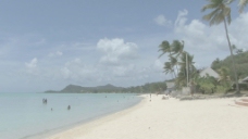 波拉波拉岛白沙滩，2只股票的录像