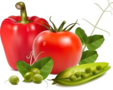 矢量新鲜水果蔬菜图片番茄豌豆下载