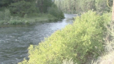 俄勒冈Metolius河3股票的录像 视频免费下载