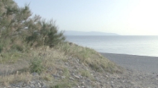 西西里岛对海2股票的录像 视频免费下载