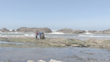 在多岩石的海岸5股票视频人 视频免费下载