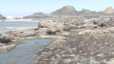 岩石的俄勒冈海岸3股票的录像 视频免费下载