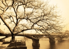 桥头冬日回忆图片