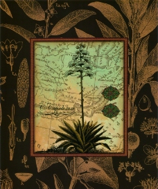 椰子树 装饰画图片
