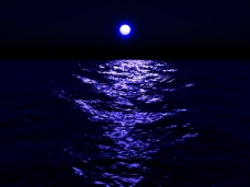 蓝色月光