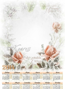 花朵2014日历相框图片
