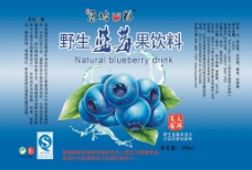 原汁原味蓝莓瓶贴图片