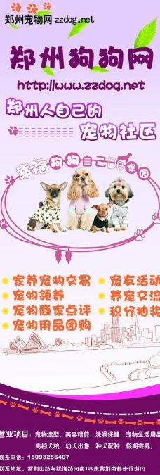 宠物狗宠物海报x展架图片