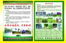 绿化景观苗木宣传页图片