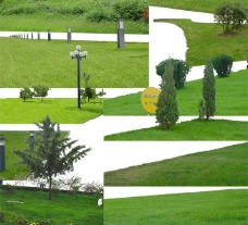 绿化景观绿色草皮图片