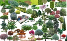 景观设计园林绿化设计景观树木图片