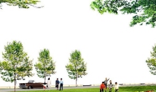 广场绿化环境设计099图片