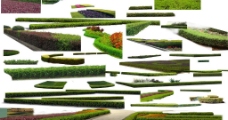 绿化景观灌木素材图片