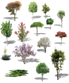 树木绿化素材图片