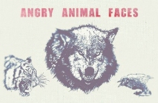 动物的脸愤怒的动物脸矢量