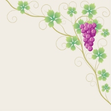 绿色叶子紫葡萄和葡萄叶子矢量