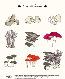 餐饮蘑菇图片