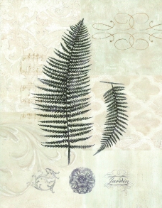 植物 装饰画图片
