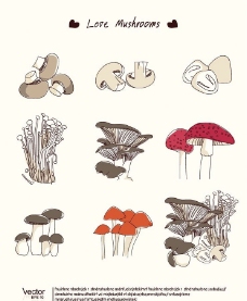餐饮蘑菇食用菌图片