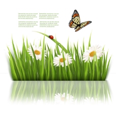 蝴蝶飞舞飞舞在花丛中的蝴蝶矢量
