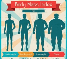 男体素材男性身体质量指数图矢量素材