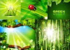 绿色自然背景矢量素材