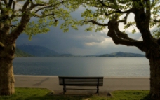 湖边长椅图片