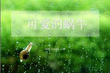 爱上雨天玻璃上的蜗牛ppt背景图案