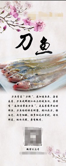 长江刀鱼