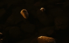夜景 石头图片