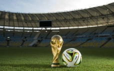 巴西世界杯 决赛用球图片