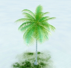 景观设计椰子树图片