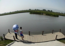 蔡家坡渭河湿地公园图片