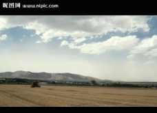 农田小麦收割视频素材
