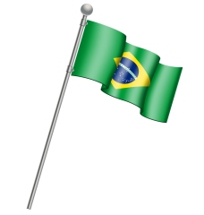 世界国旗巴西世界杯国旗