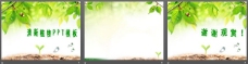 绿树植物背景幻灯片模板