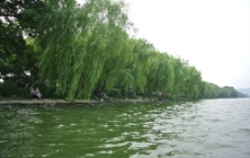苏堤河边图片