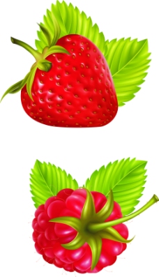 果蔬矢量草莓