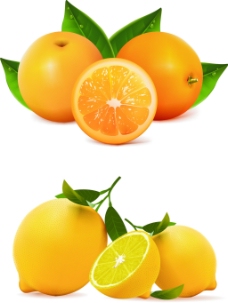 绿色叶子矢量橙子柠檬
