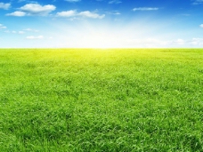 会议背景亮丽的草原背景图PPT