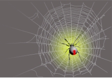 矢量图形的蜘蛛网设计背景05