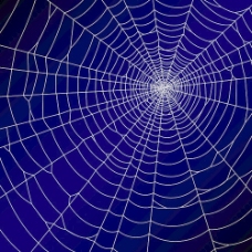 矢量图形的蜘蛛网设计背景04