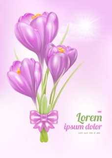 美丽的紫色花卡矢量图01