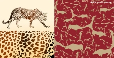 豹和动物的背景矢量素材