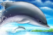 海豚公益海报背景