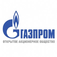 俄罗斯天然气工业股份公司5