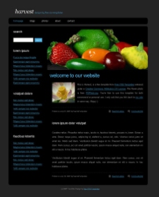 蔬菜收获网页设计模板素材